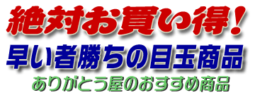 絶対お買い得！見逃せません。